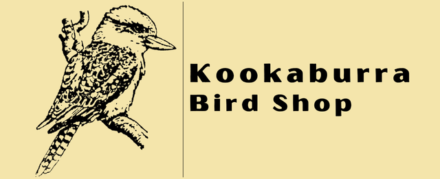 Best online best sale bird store